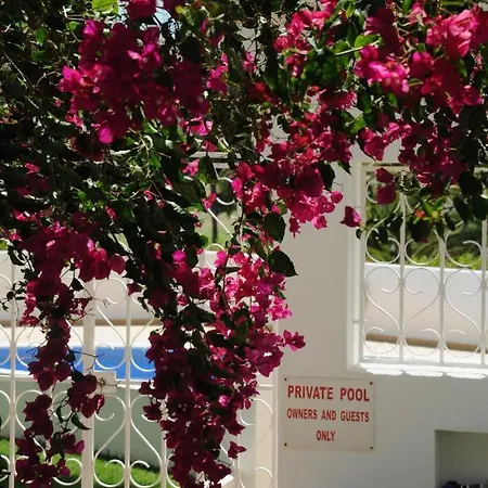 Apartamento Renovated Vale Do Milho Golf With Sea View
